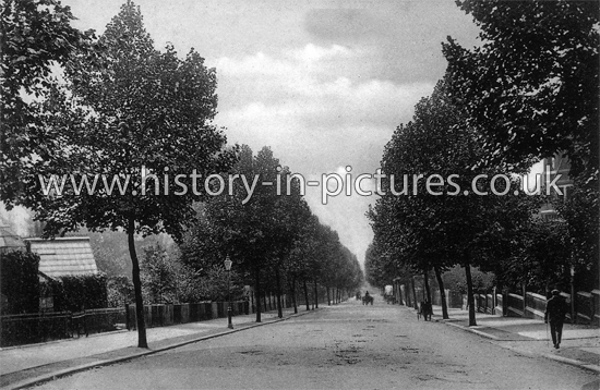 Fitzjohns Avenue, Hampstead, London. c.1904